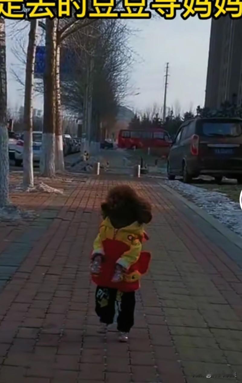 看来这只小泰迪之前的主人是富贵人家，它被抛弃在了这里，还打扮得漂漂亮亮。这狗狗从