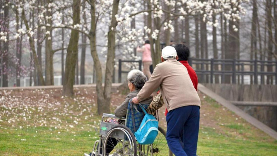 揭秘轮流养老真相：孝顺子女为何反目成仇？