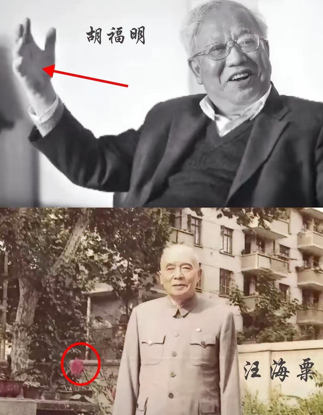 南博这瓜也太炸裂了！查一幅《江南春》图卷，竟牵扯出几十年前的沉冤旧案，比