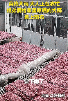 上人民日报了。近日，江苏两个小孩立大功了，他们的举动，直接让全网都竖起了大拇指