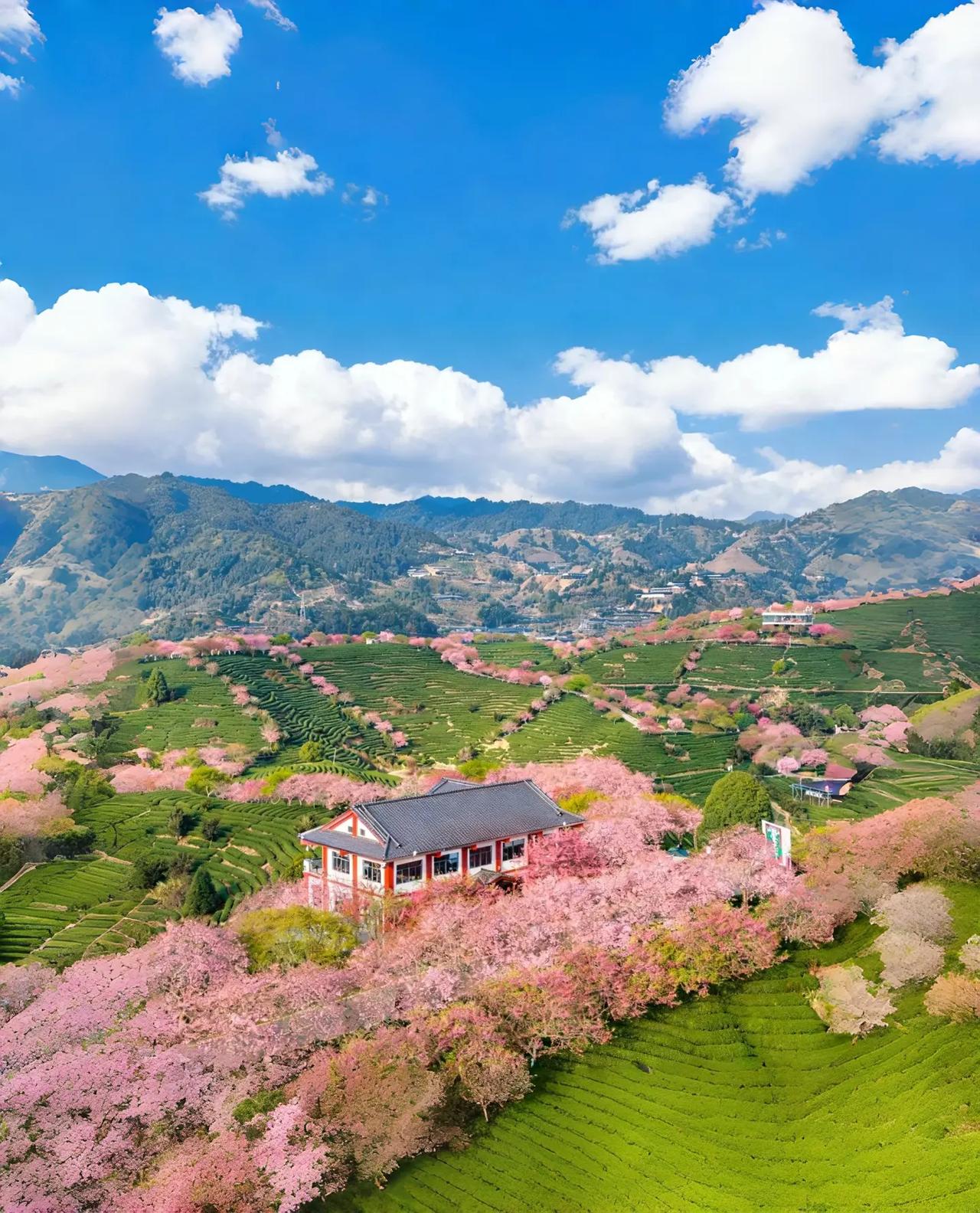 师弟是某211大学的副院长，他孩子在南京一所重点高中上高一，成绩尚可，基本能