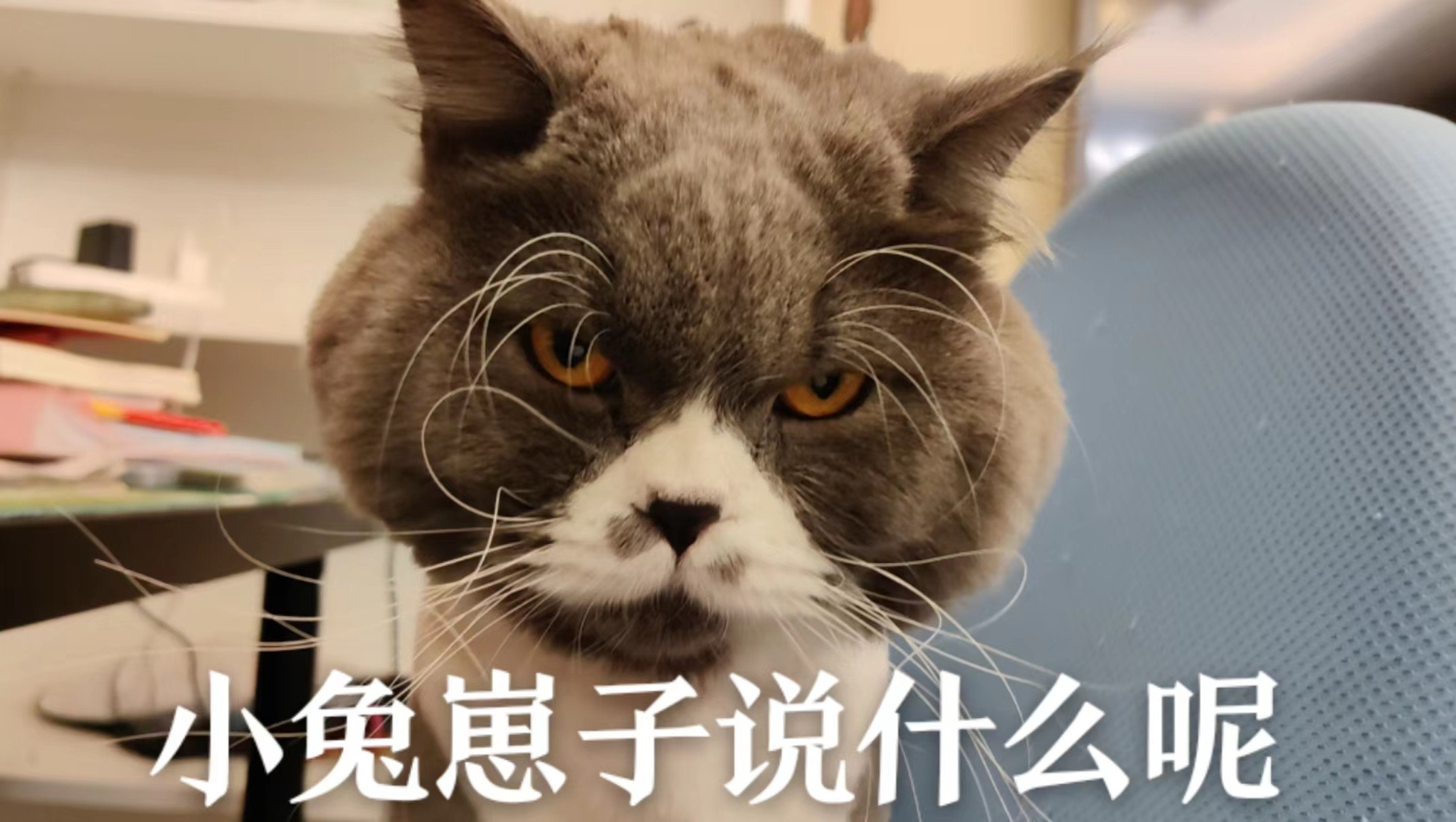 小三（男）：我爱你我：我也爱你[哭哭]小三（男）：你老公在，我们不会幸福的。我