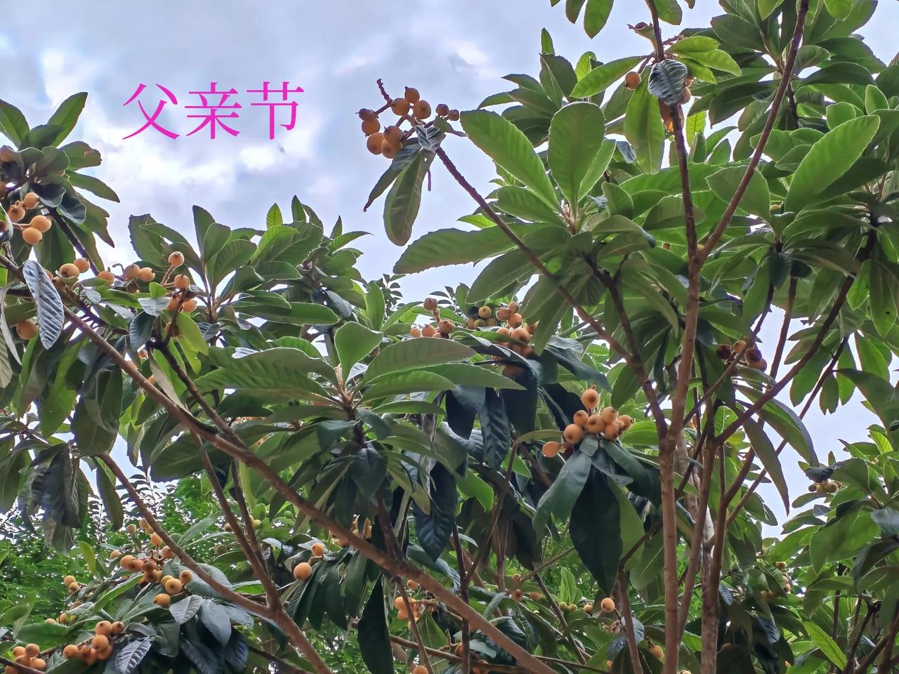 父亲节！母亲：玲珑啊，今天是父亲节，你想着给你爸爸买点礼物！女儿：我都快忙死
