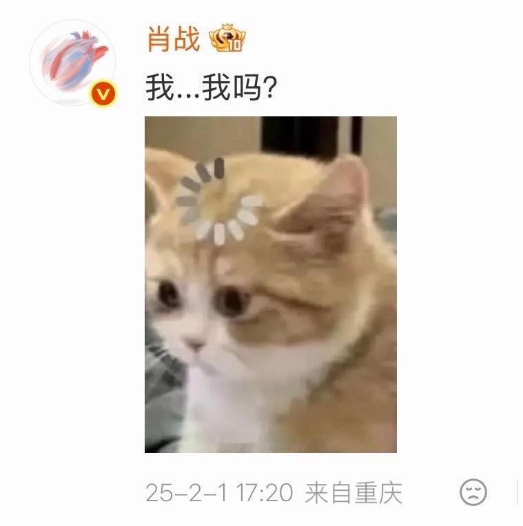 哈哈哈哈，一模一样