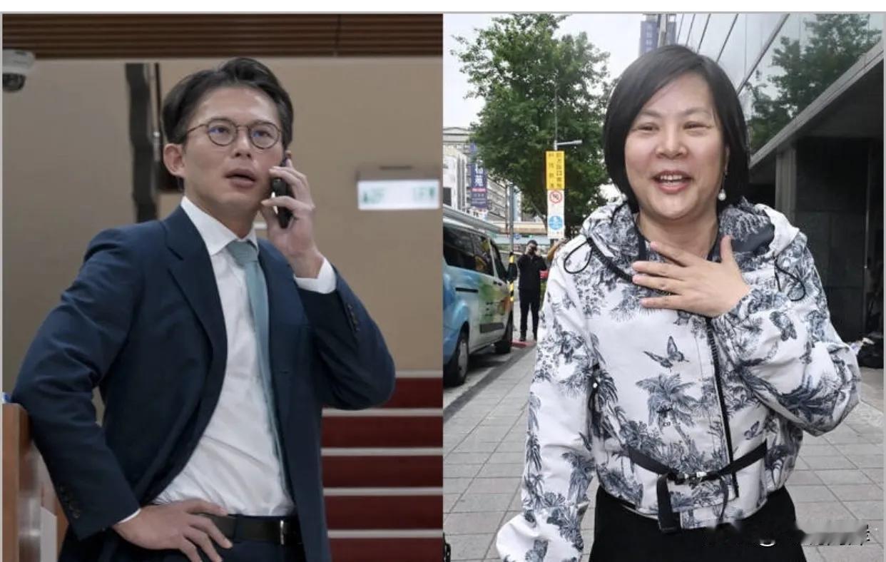 民众党开除李贞秀反酿内讧，蓝绿坐收渔翁之利民众党开除李贞秀的决定，非但没平