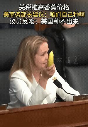 美商务部长被骂就是个棒槌，美议员提问美商务部长，为什么要给香蕉加关税，美商务部长