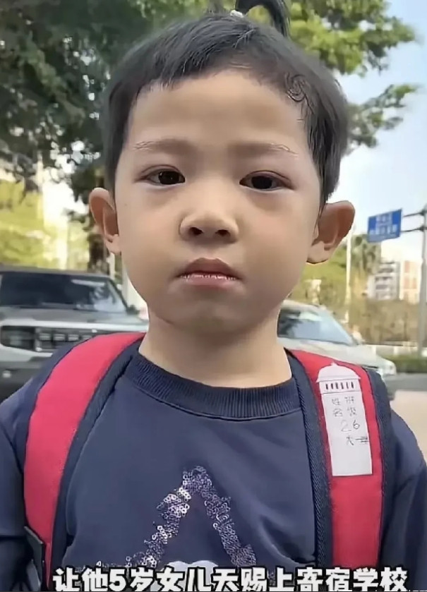 可怜的小天使，最终还是被选择了孤独！因为74岁的老爸和老妈身体状况每况愈下，小天