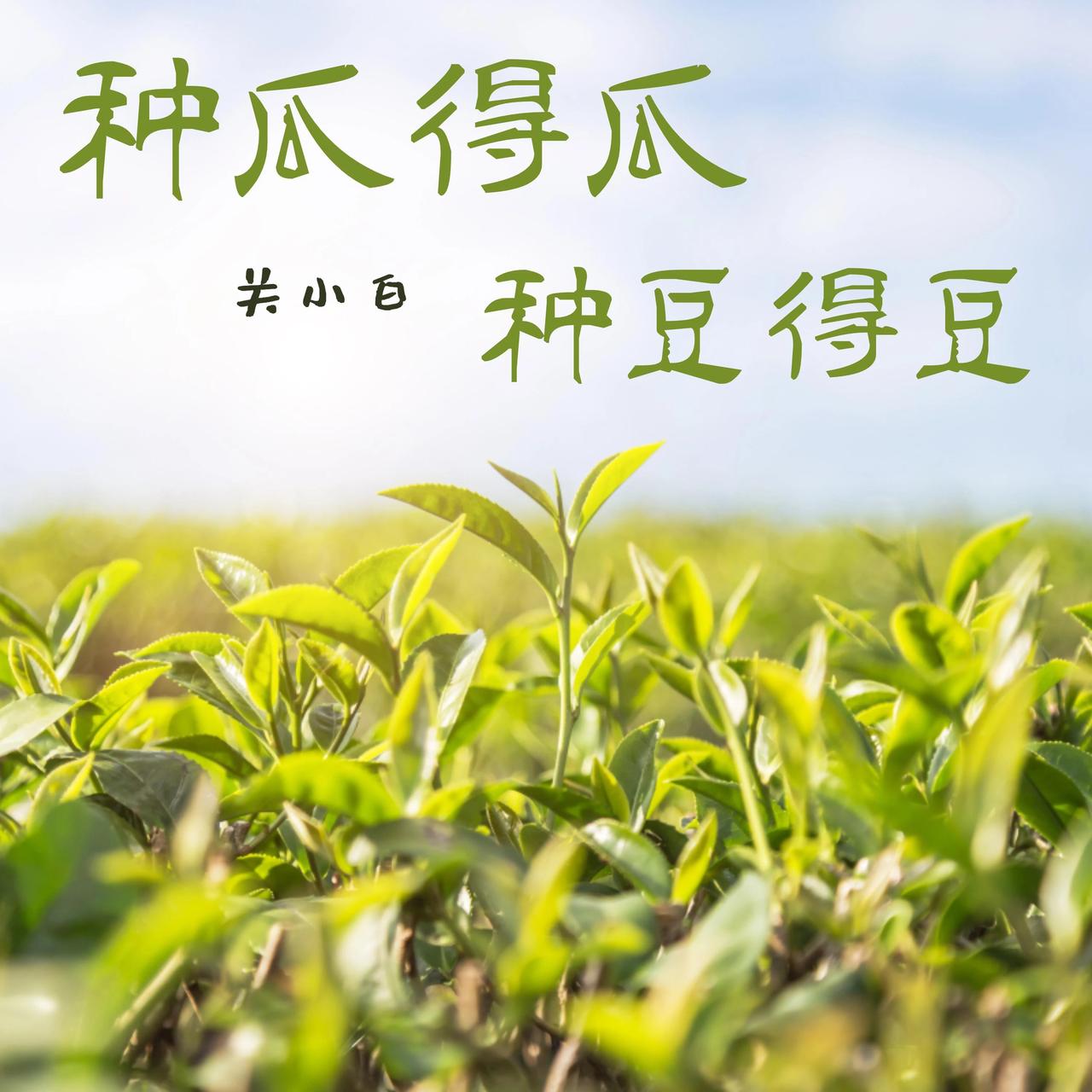 你的念头，真的有玄学你信什么，就来什么信，是颗种子，你种下什么，未来就收