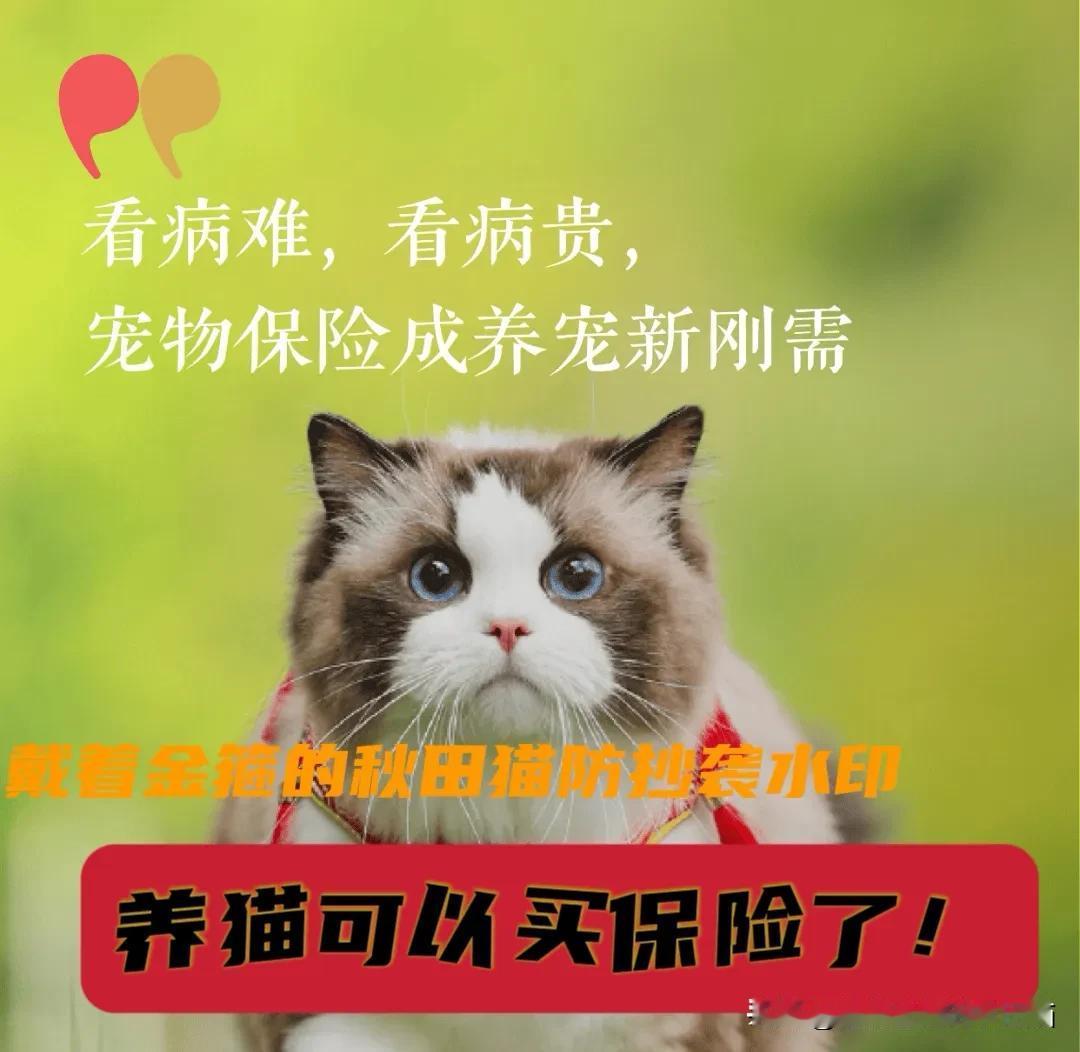 爱猫人士看过来！宠物保险已走红香港，这个赛道商机无限，仅猫咪投保就占了六成五，
