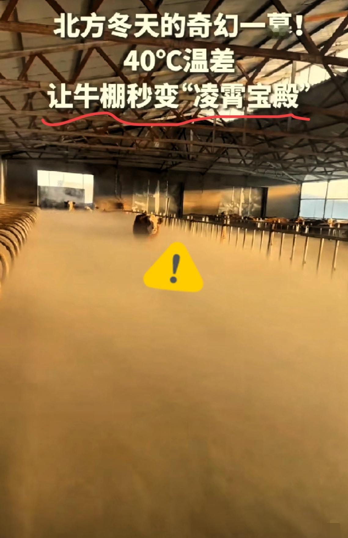 “没想到上人民日报了！”内蒙古这女子清晨喂牛，一推牛棚门就看傻了。棚里白茫茫，几