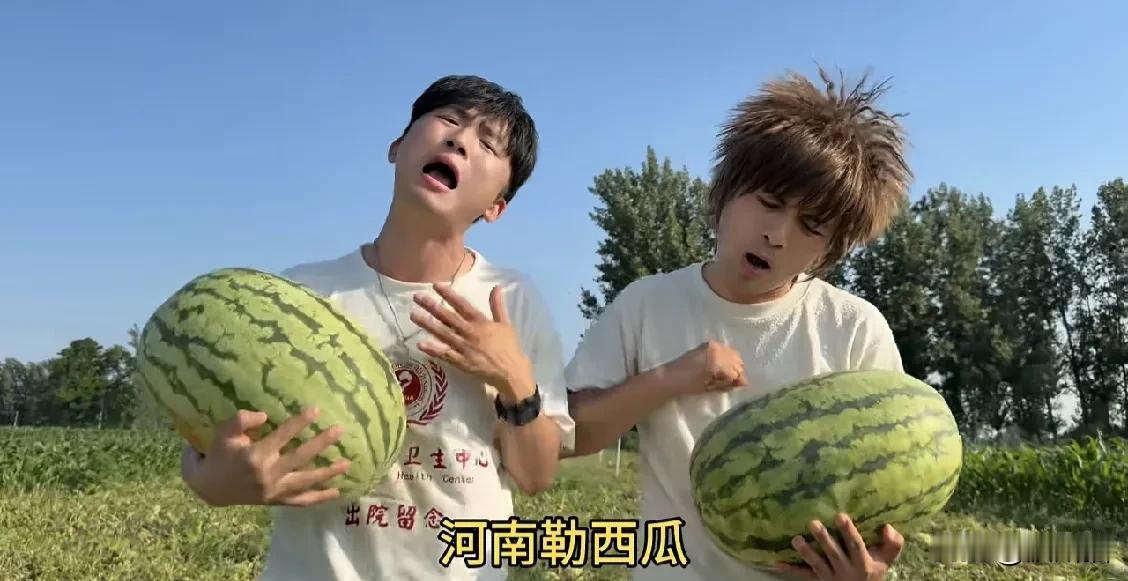 河南的西瓜今年就是便宜，我们这儿三四毛一斤，也许有的地方还会更便宜。水果的收