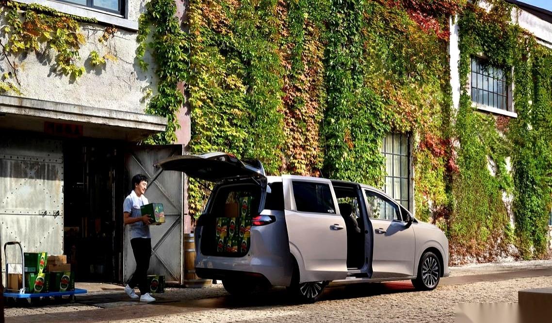 我滴个乖乖，五菱又把桌子给掀了。不到10万块钱，给你个电动侧滑门。就这一项，