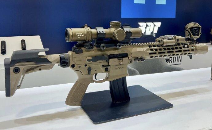 法国国家宪兵特勤队(GIGN)已选定贝雷塔NARP“禁卫者”（Praeto