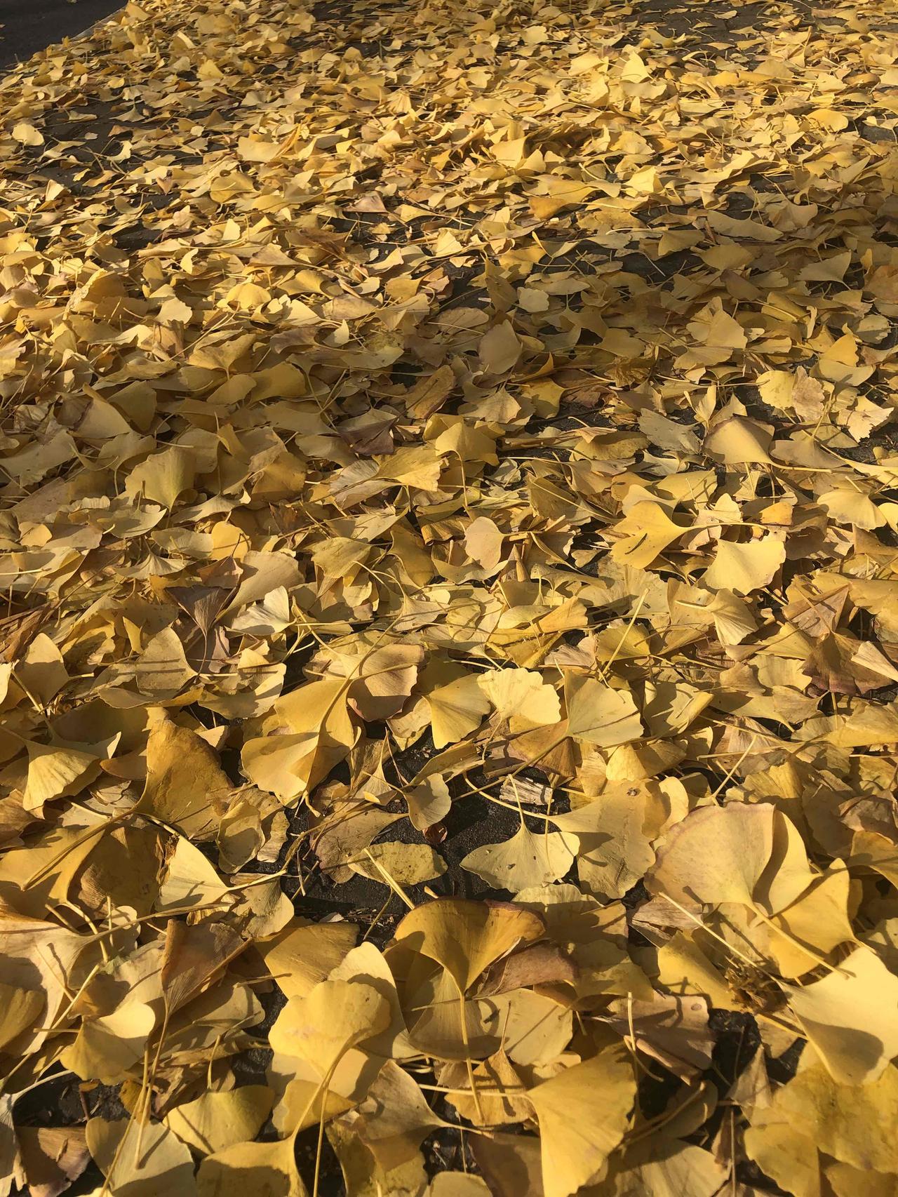 这几年各地高铁站数量几乎在翻倍，上海、苏州、南京、杭州到处都在新建新的高铁站。苏