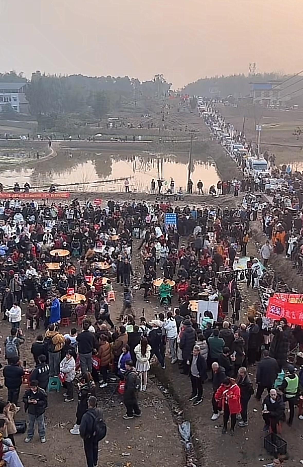 合川这事儿，走向真是越来越魔幻了。本来想着热闹一天也就散了，呆呆姑娘估计连休