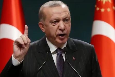 真的越看越心寒！在联合国大会台上，土耳其总统埃尔多安直接放了大招：“内塔尼亚