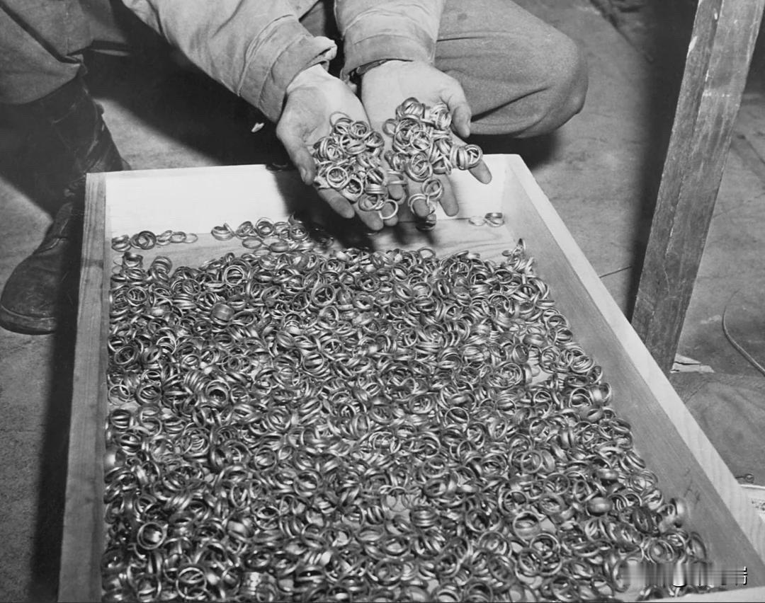 这张震撼人心的历史照片记录了二战大屠杀（Holocaust）期间，纳粹从集中营受