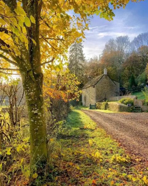 性学专家李银河说：“人一旦过了40岁就踏上了通往终点的直通车了中