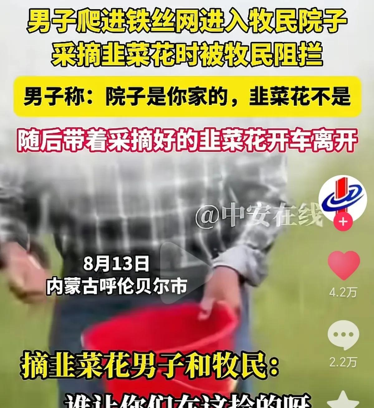 “这韭菜花到底能不能摘？”近日，内蒙古呼伦贝尔市，一名男子开车路过一个院子，看到
