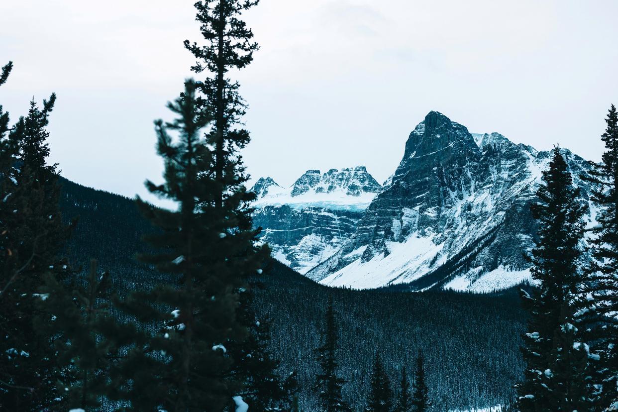 ＃人性会主动放弃得到的东西么？人生就是在不断的获取和放弃。很多人因为害怕