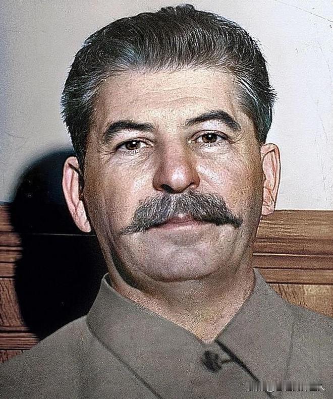 历史不忍细看，尤其当它被特权浸透。斯大林时代的苏联，表面上是理想主义，内里却构建