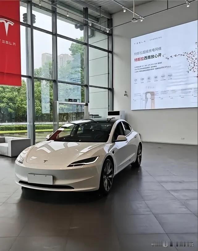 好多年轻人确实会被特斯拉的流线身材和车标吸引。就拿Model3来说，它侧面溜