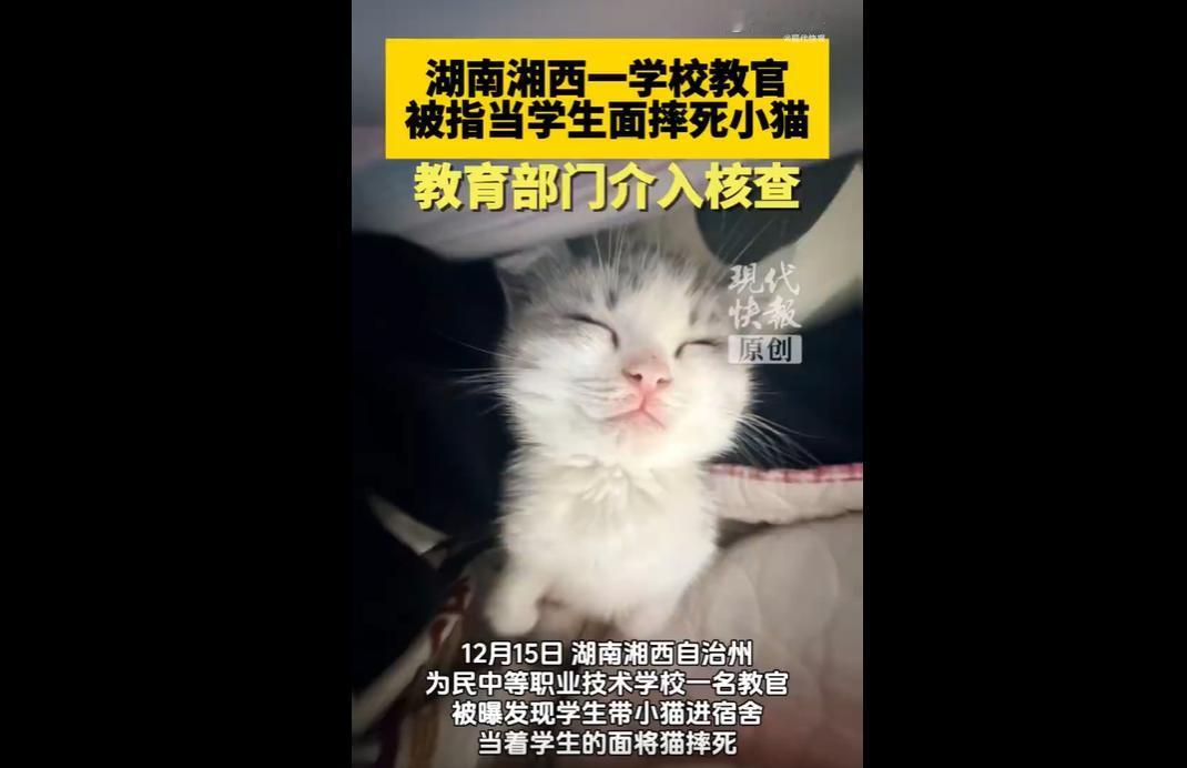 湖南湘西某职校宿管员查寝，发现学生违规带小奶猫。学生提议次日交班主任，争执中遭