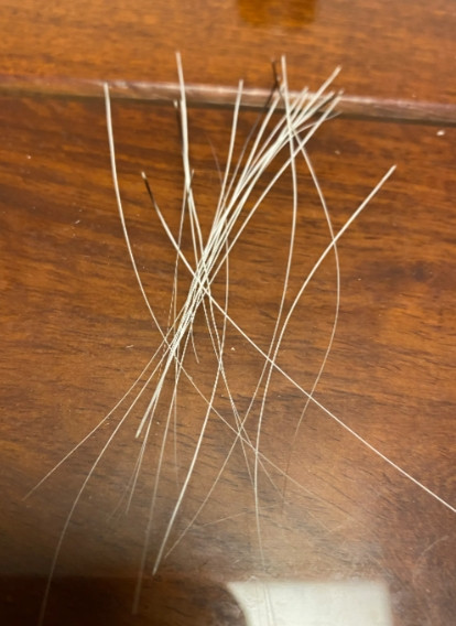 最近才在网上看到说猫的胡须有用处，有人收购，真的什么都有可能！