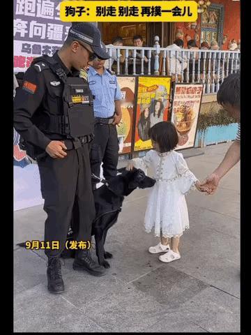 “彻底解释不清楚了”，谁能想到警犬执勤时会有这么萌的一幕！新疆街头，帽子叔叔带着