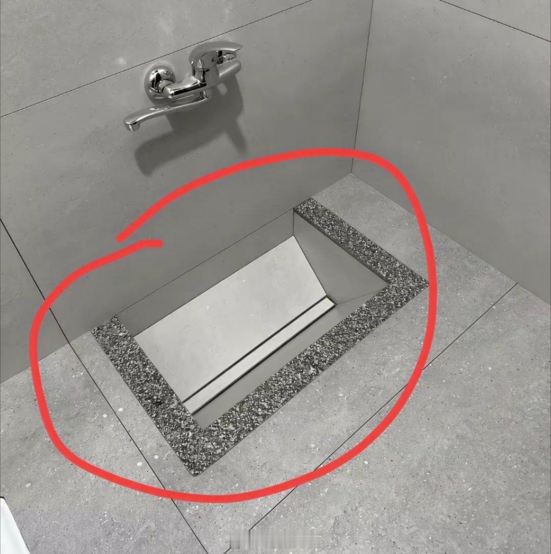 出差住进一家酒店，发现卫生间里有个奇怪的池子，就在马桶旁边。第一次在酒店见到这种