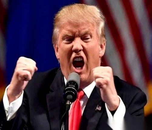 讲真，特朗普这哥们儿，有时候你真分不清他是天才还是疯子。他一开口就说，这地球上