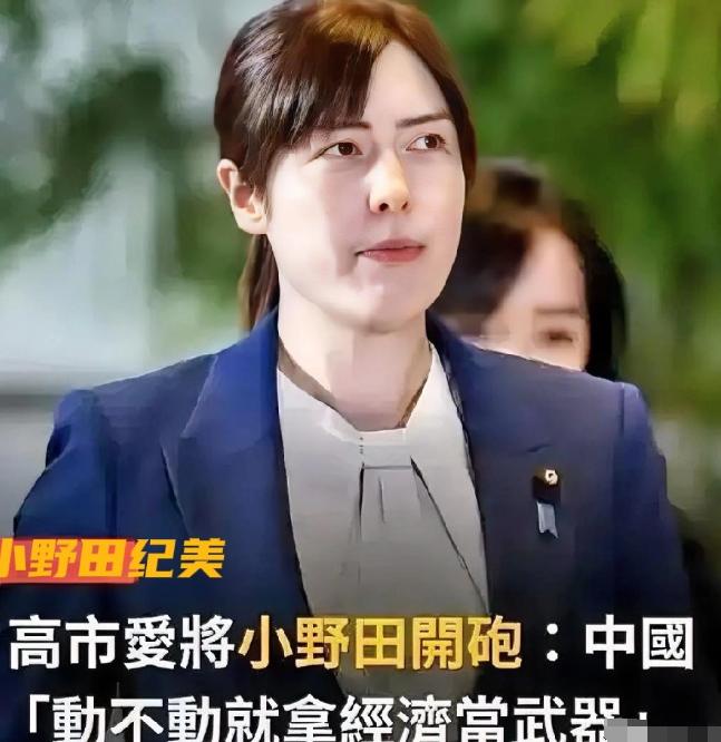 中日关系再也回不到从前，决裂早已注定！别再抱有任何幻想，高市早苗早就点燃了