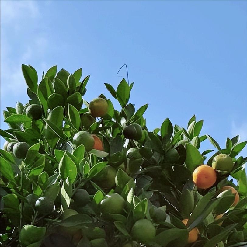 国家审计：整改超1万亿元、处理处分3420多人说明3个问题 12月22日，2