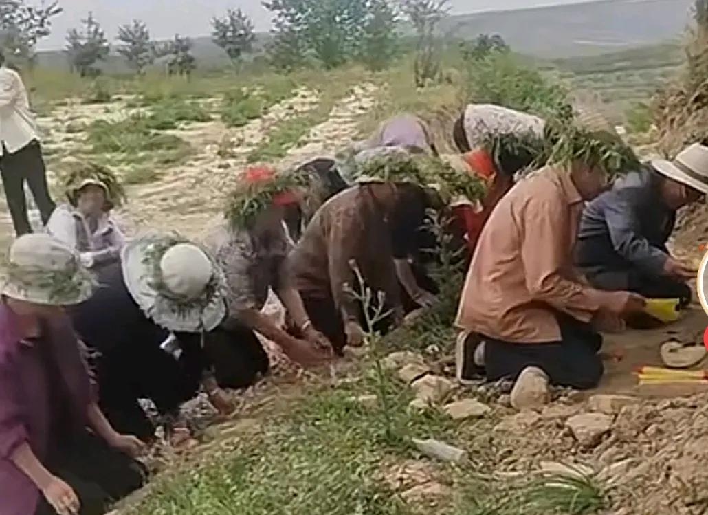 最近有许多村民求雨拜神的视频画面，也不知是真是假。不过，当老百姓无法掌控自己命运
