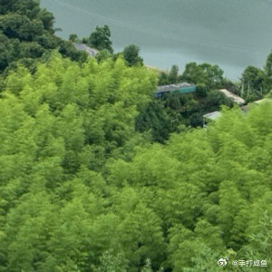 端午自驾游返图：华浪线太子尖⛰️住在山里面针不戳针不戳，借着美景削一削在城市里累