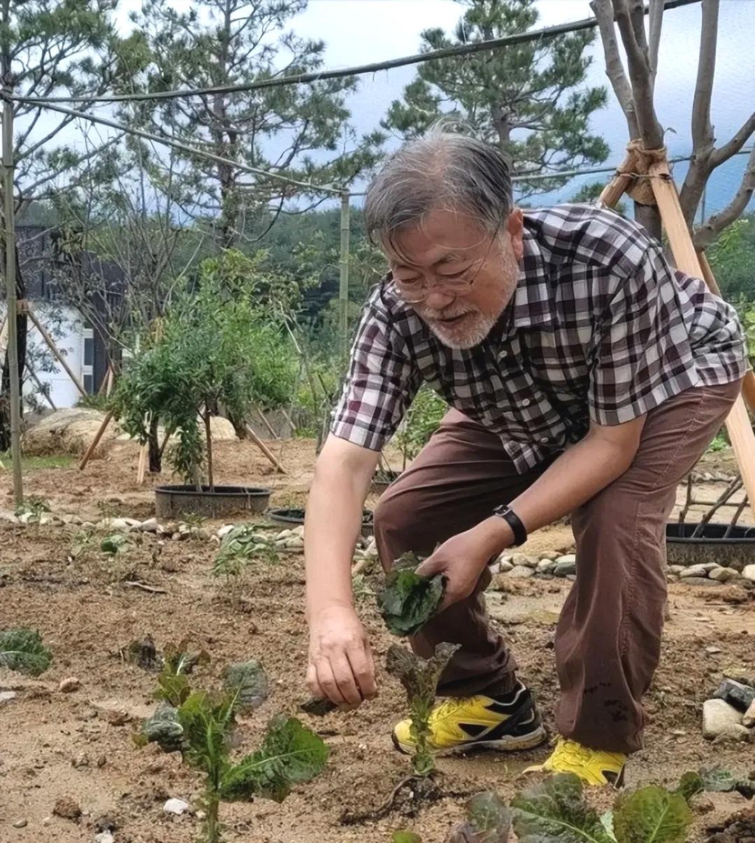 文在寅是韩国总统里面最成功的。不是说文在寅当总统时有多么大的政绩，虽然有，但