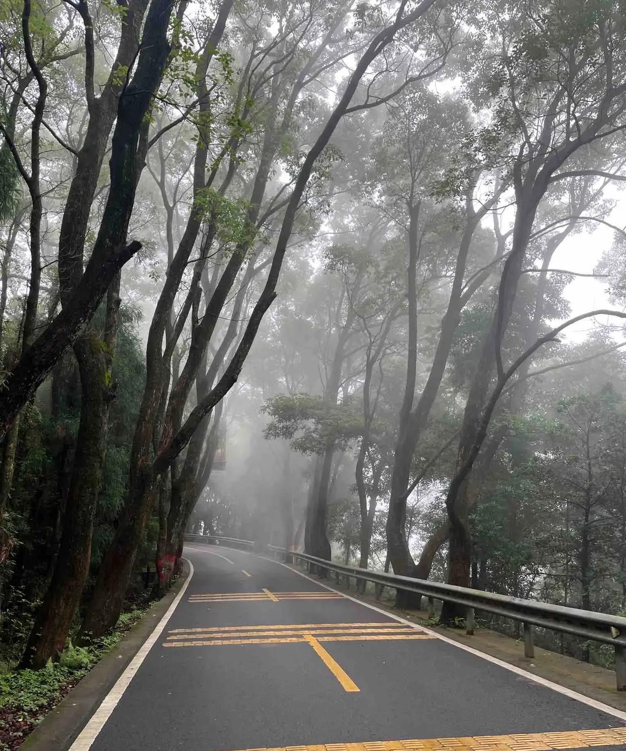 雨后的鼓山云雾缭绕，仙气飘飘，鲜花遍地，雨露欲滴，赏心悦目，暖风熏得游人醉，让漫