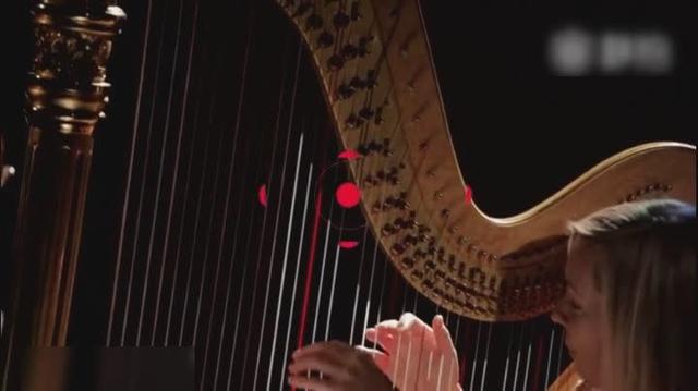 大提琴名曲 天鹅