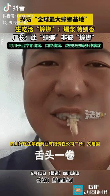 妈呀，真的长见识了，四川凉山州西昌市有一个全球最大的蟑螂养殖基地，厂长现场给大家
