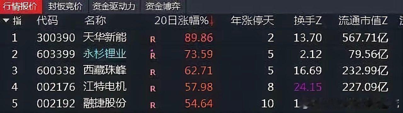 锂矿这波最扎眼的，不是老龙头多能打，而是那几只前面一直趴着的，最近突然抬头了永杉