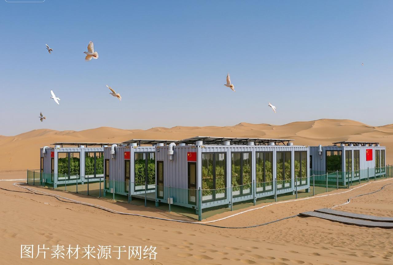 沙漠中的绿色奇迹：中国“植物集装箱”如何颠覆传统农业？在中东
