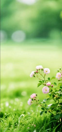 冯唐说了话很通透的话：“当你舍不得为自己花钱的时候，你就成长了；当你舍得