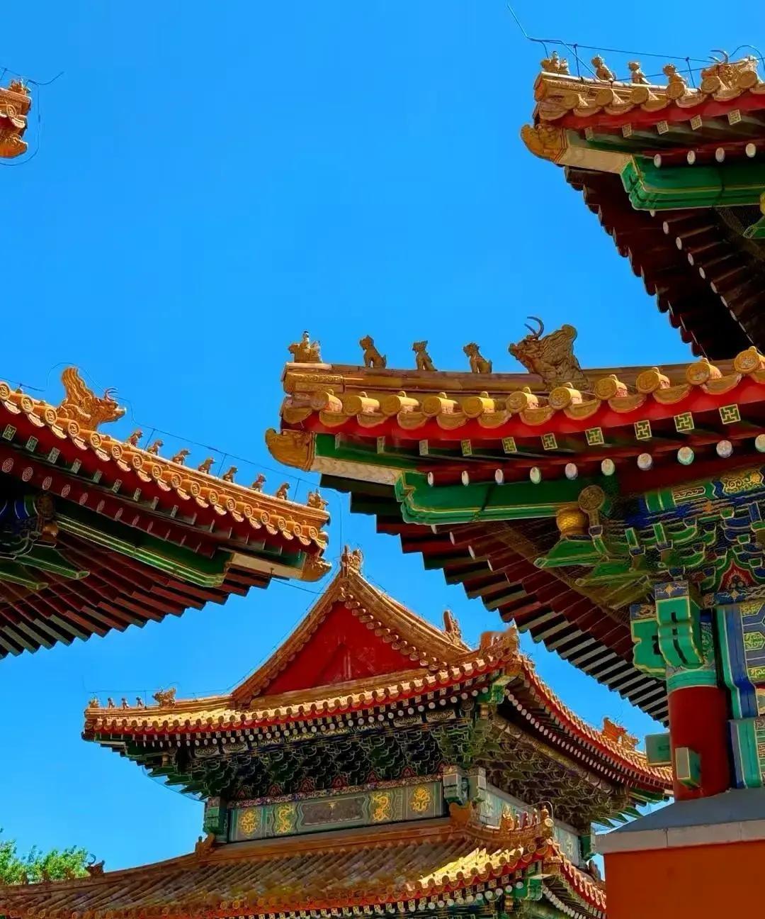 结婚才半年，女子就偷腥被老公逮个正着。她当场认错，删好友、早回家、学做菜，连朋