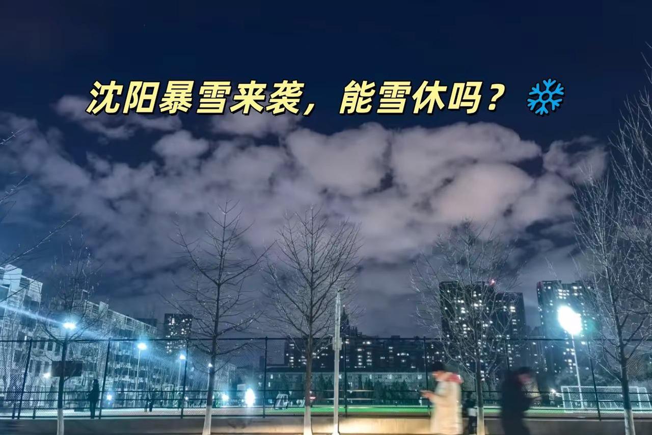 沈阳暴雪来袭，能雪休吗？❄️。今天一拉开窗帘，直接被眼前的景象惊呆了！❄️整个