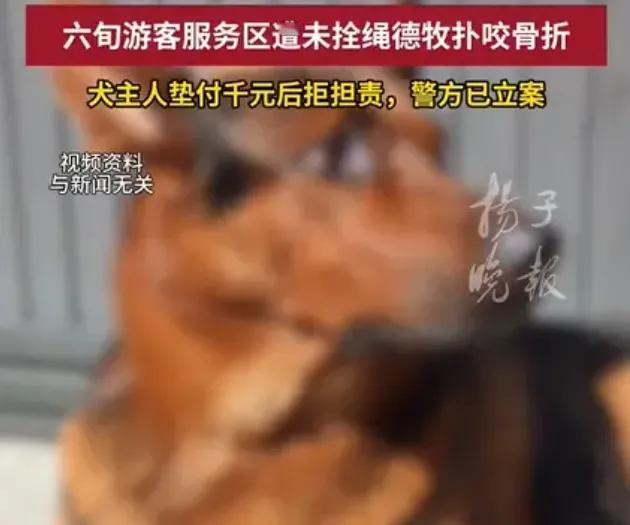 遛狗不拴绳还理直气壮的人，真得用点手段让他们知道什么叫疼！云南罗平金鸡服务区