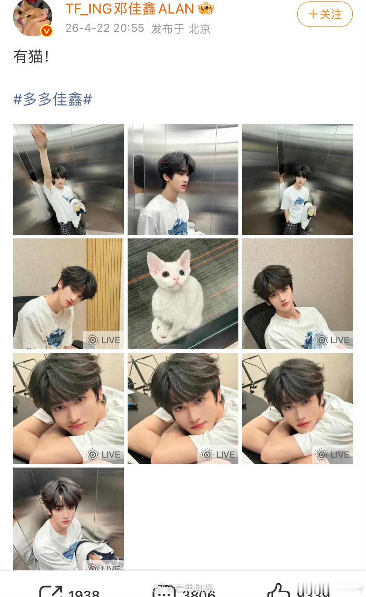 邓佳鑫晒猫邓佳鑫的猫是异瞳好漂亮的小猫咪啊，还是异瞳耶