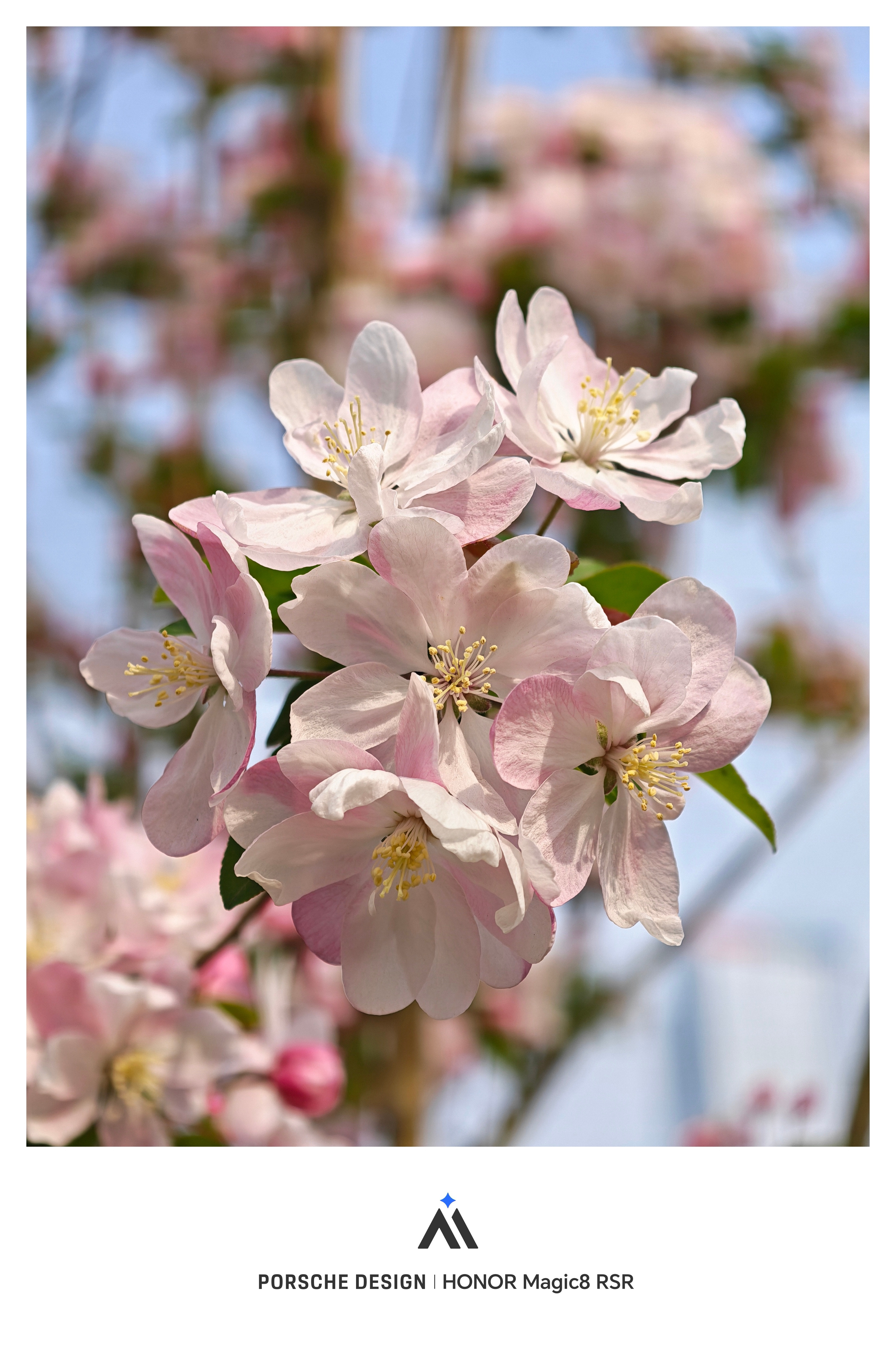 春日天津活力足来天津逛吃，五大道必不可少，路飞给大家整理了4个串联起来的宝藏点位