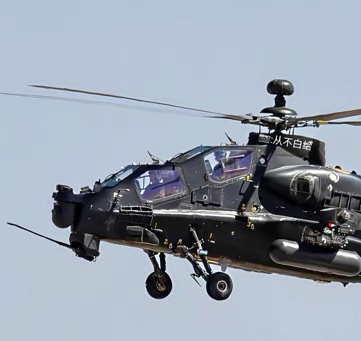 顶配版武直10。直武装直升机头顶一颗球，全球我最牛。近日陆航的武装直升