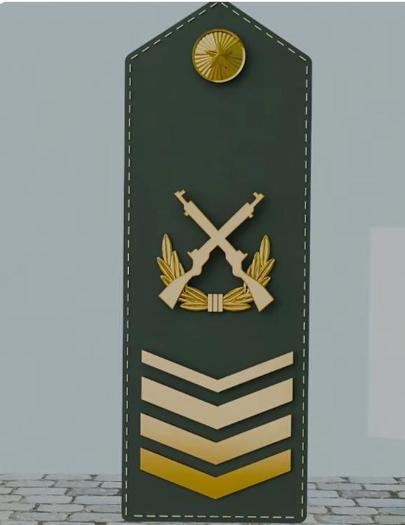 向战友们，老同志，请教3个军旅建设话题。又到一年退伍季。昨天，看到有关部队战