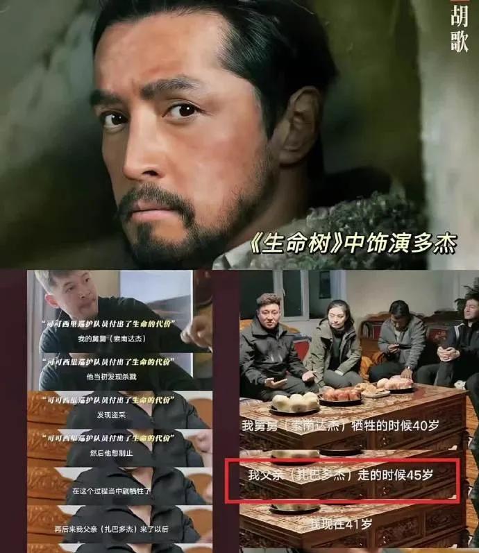 惊！胡歌演《生命树》为还人情抬杨紫？别闹了有人竟说胡歌参演《生命树》是还人情抬